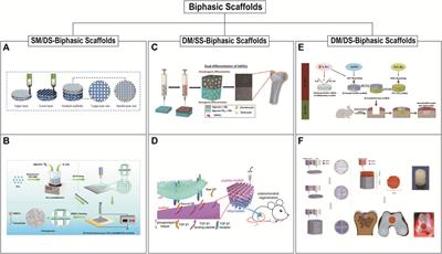 3D printed osteochondral scaffolds: design strategies, present applications and future perspectives